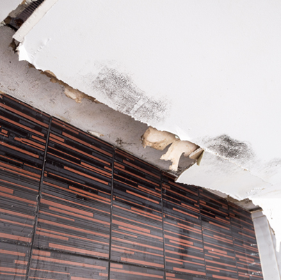 Water damage detection and restoration services